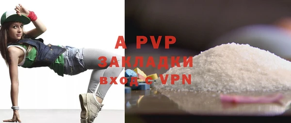 apvp Гатчина