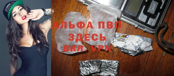 ГАЛЛЮЦИНОГЕННЫЕ ГРИБЫ Галич