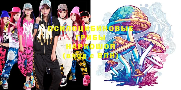 ГАЛЛЮЦИНОГЕННЫЕ ГРИБЫ Галич