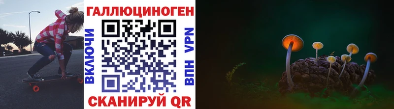 Галлюциногенные грибы Magic Shrooms  Купить где  Губкинский 